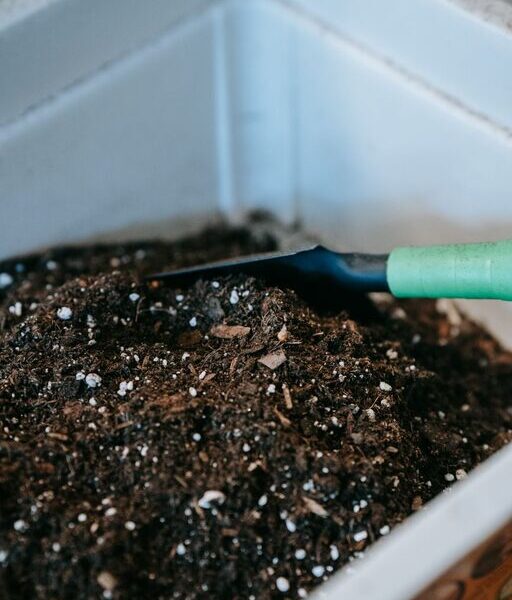 Beginner Tips for Composting at Home: A Simple Guide